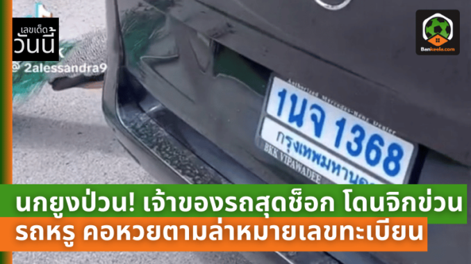 นกยูงป่วน! เจ้าของรถสุดช็อก โดนจิกข่วนรถหรู คอหวยตามล่าหมายเลขทะเบียน