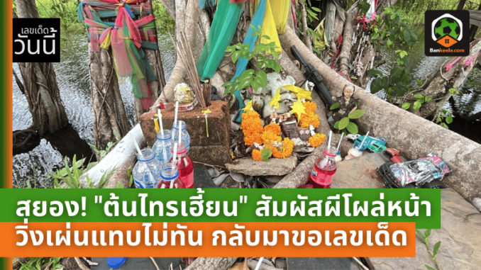 สยอง! ต้นไทรเฮี้ยน สัมผัสผีโผล่หน้าทัก วิ่งเผ่นแทบไม่ทัน กลับมาขอเลขเด็ดชัด ๆ