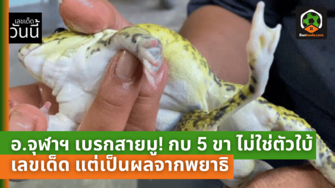 อ.จุฬาฯ เบรกสายมู! กบ 5 ขา