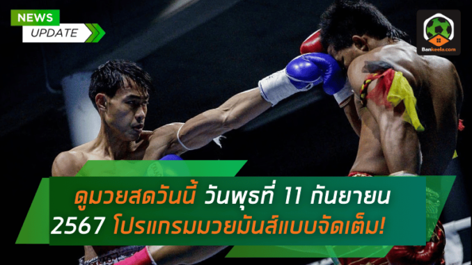 ดูมวยสดวันนี้ วันพุธที่ 11 กันยายน 2567 โปรแกรมมวยมันส์แบบจัดเต็ม!