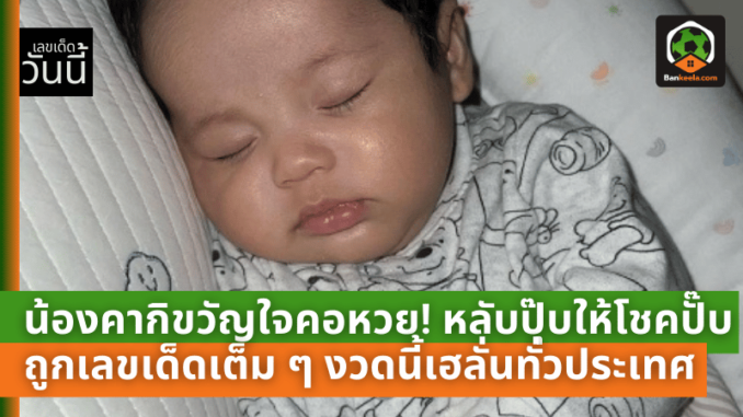 น้องคากิขวัญใจคอหวย! หลับปุ๊บให้โชคปั๊บ ถูกเลขเด็ดเต็ม ๆ งวดนี้เฮลั่นทั่วประเทศ