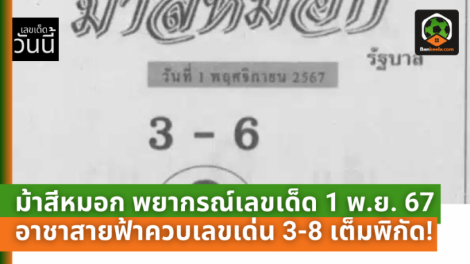 เลขม้าสีหมอก11167