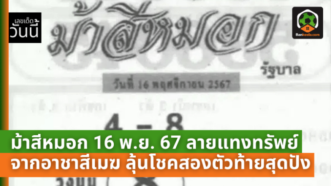 ม้าสีหมอก 16 พ.ย. 67