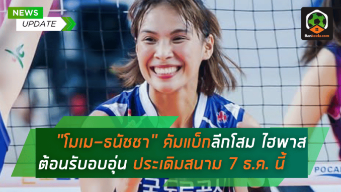 คัมแบ็กลีกโสม