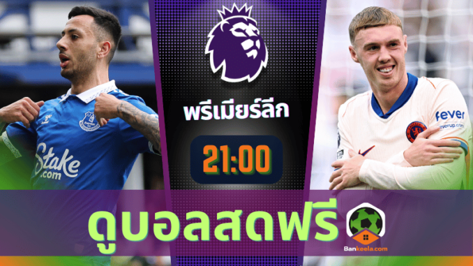 ตัน vs เชล