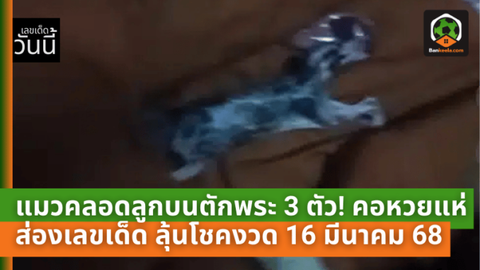 17