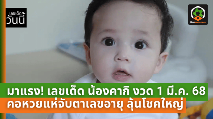 เด็ด น้องคา