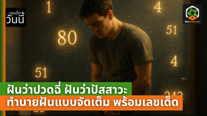 lotto pic (54)