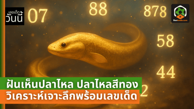 lotto pic (12)