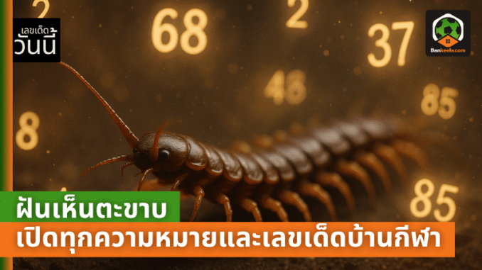 lotto pic - 2025-05-29T221201.257