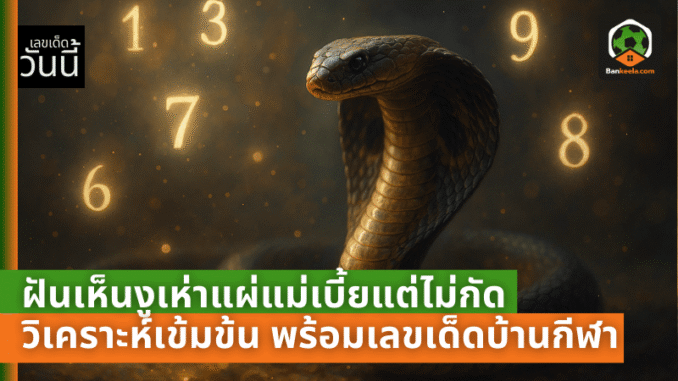 lotto pic (74)