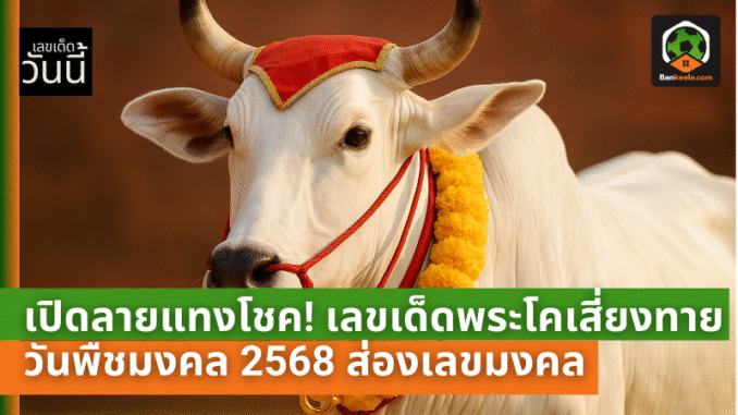 โคเสี่ยงทาย