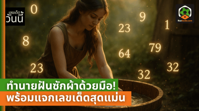 lotto pic (10)