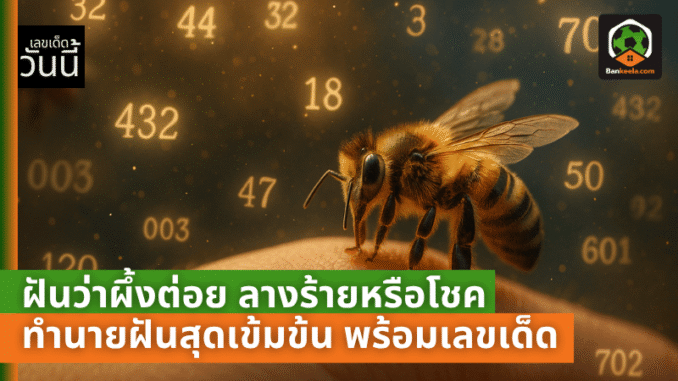 lotto pic - 2025-06-03T010048.124
