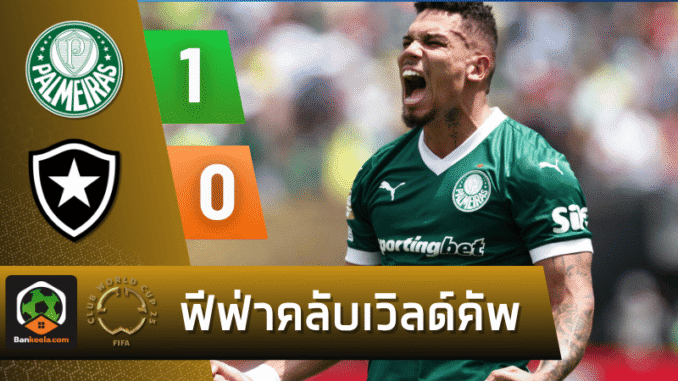 พัลไมรัสเฉือนโบตาโฟโก้