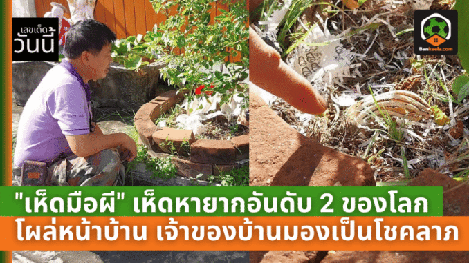 ส่งกลิ่นเน่าสุดสยอง