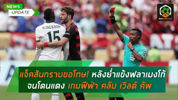 หลังย่ำแข้งฟลา
