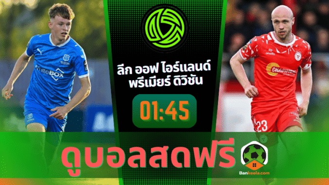 เต็ด พบ เชล